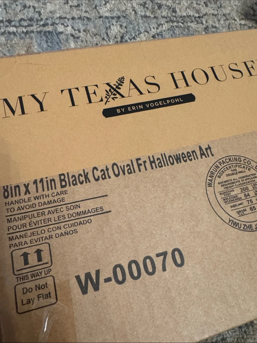 My Texas house black framed art cat